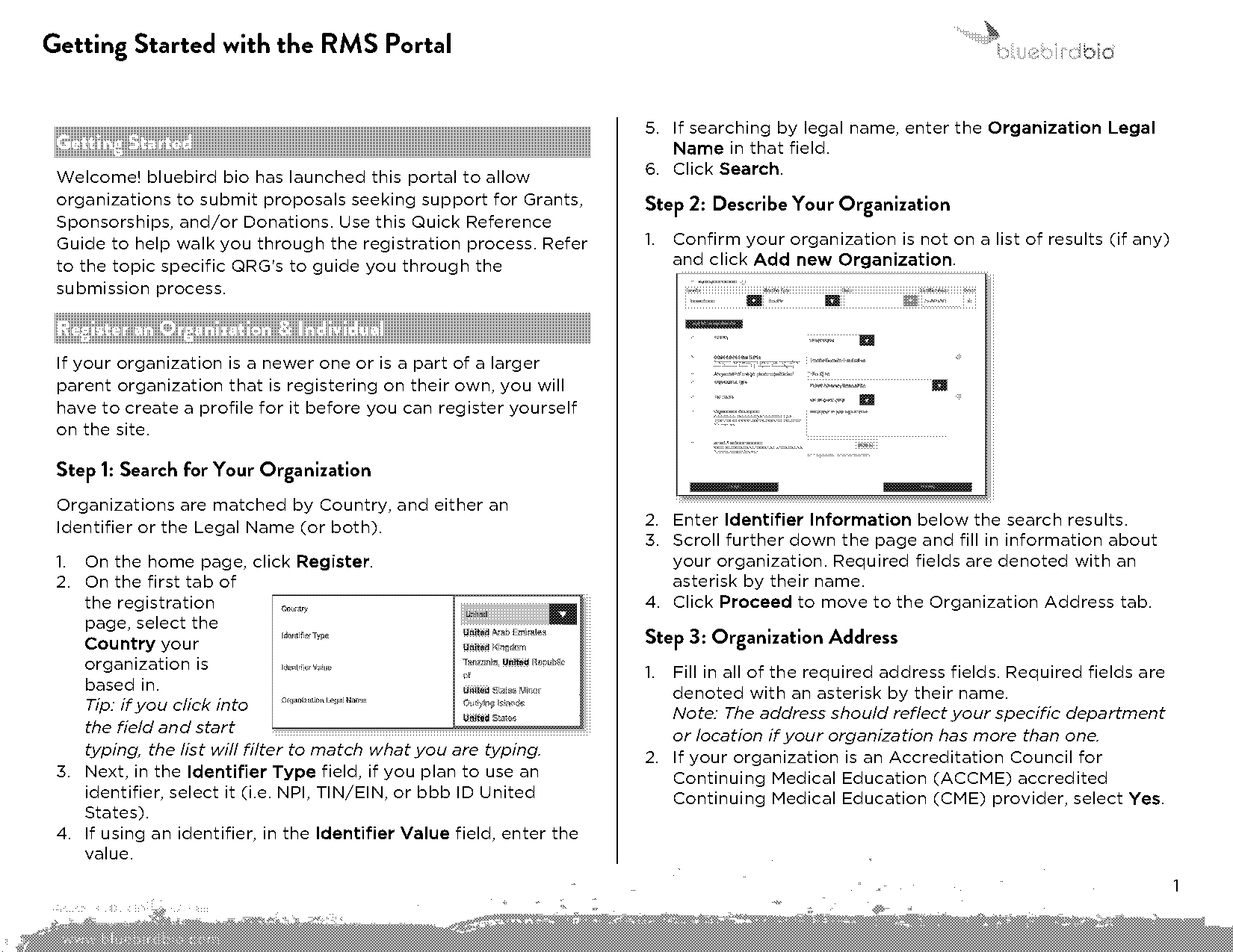 bluebird bio payment plan