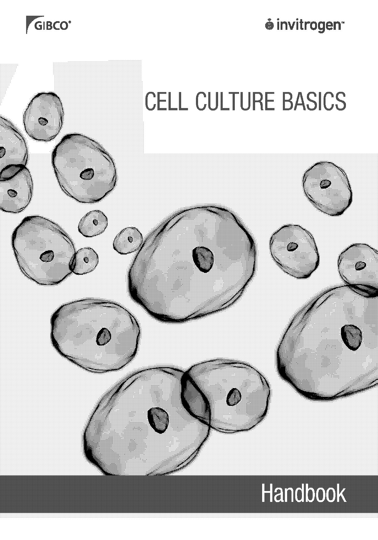 skills worksheet vocabulary review cells and their environment answer key