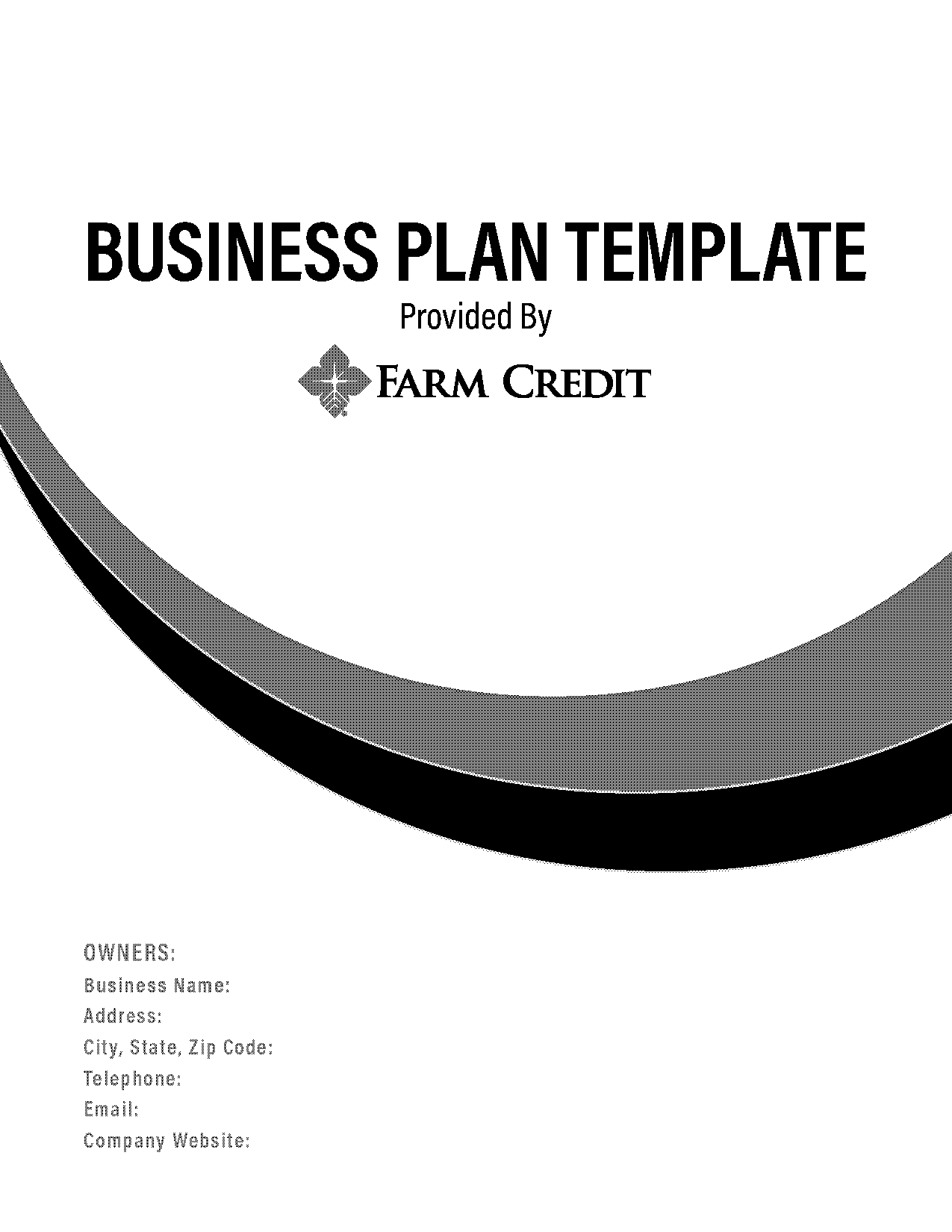 business plan template for a product