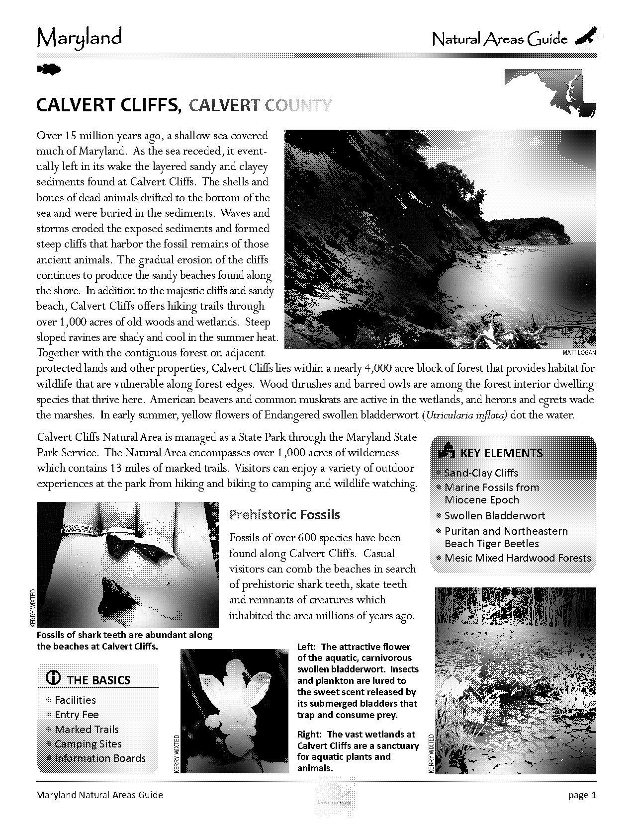 directions to calvert cliffs state park