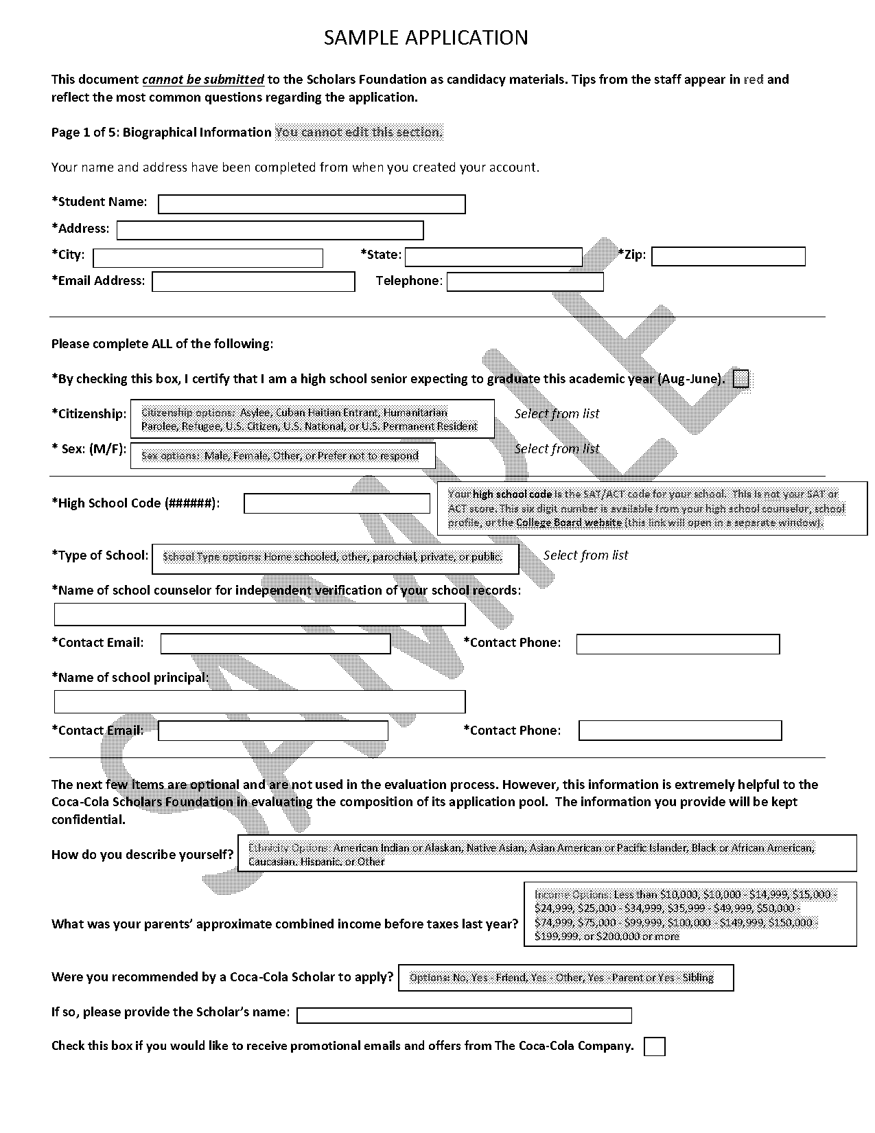 good leadership sample applications