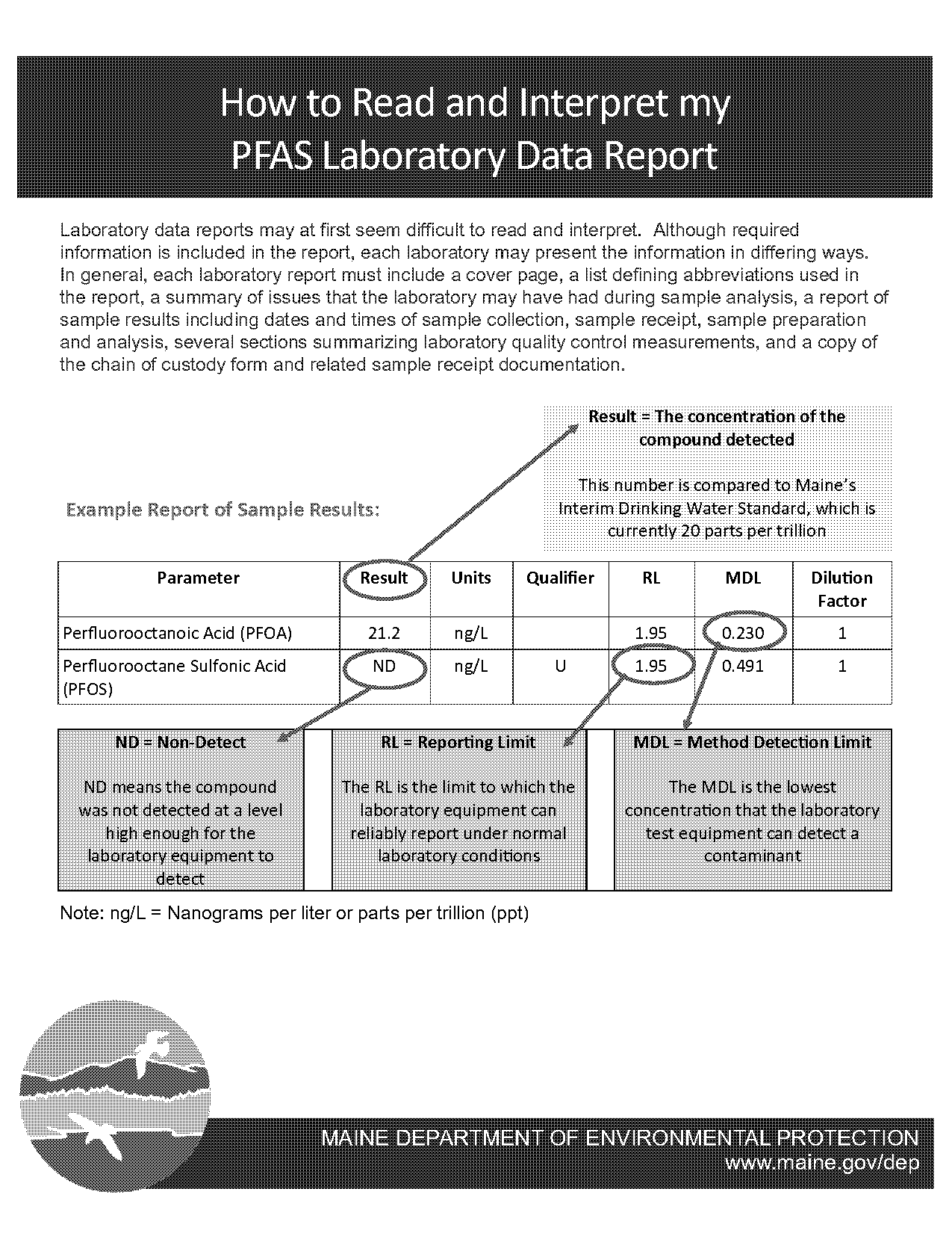 data in a lab report